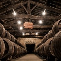 Partner Grande Champagne - Premier Cru photo